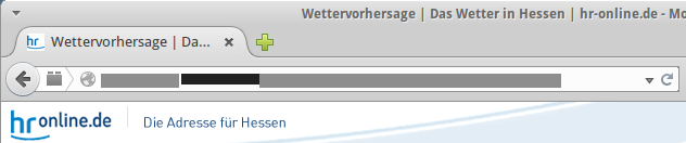 Abb. Beispiel für eine Internet-Adresse (unlesbar)